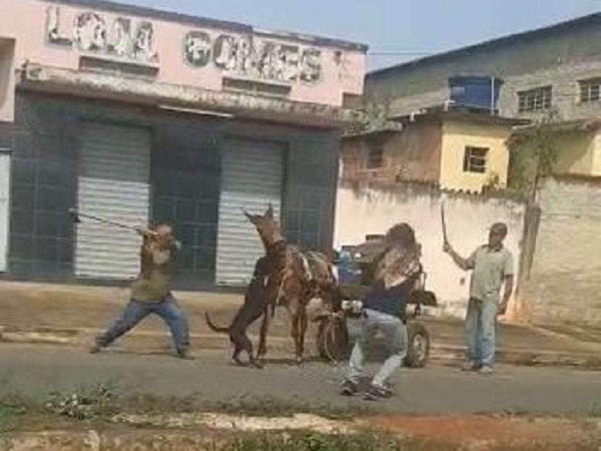 Vídeo: mulher denuncia homem a cavalo que puxava cachorro amarrado - Gerais  - Estado de Minas
