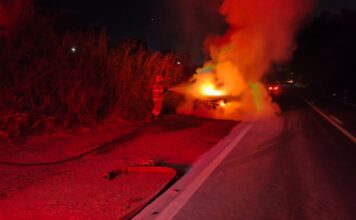 Mãe para no acostamento e salva filhos antes de carro ser destruído por incêndio na BR-265