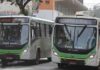 Ônibus em Sete Lagoas: confira as linhas em operação e os horários atualizados neste fim de semana