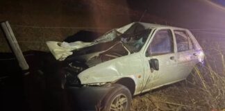 Motorista fica ferido após atingir boi na AMG-105, em Funilândia