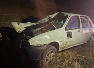 Motorista fica ferido após atingir boi na AMG-105, em Funilândia