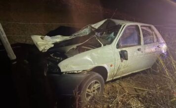 Motorista fica ferido após atingir boi na AMG-105, em Funilândia
